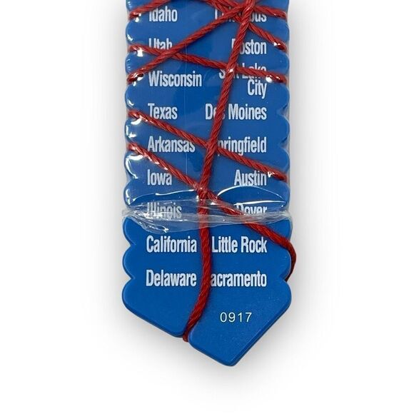 States & Capitals & Basic Math Saxon Learning Wrap-Ups Home School Geography - Picture 6 of 6